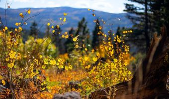 1 The Ranch At Angel Fire, Angel Fire, NM 87710