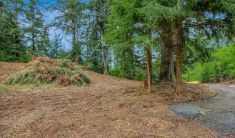 Ziak-Gnat Creek Ln, Astoria, OR 97103