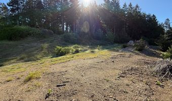 Jodel CT 3, Brookings, OR 97415