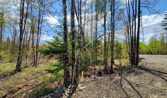 Cone Road lot # 2, Amity, ME 04471