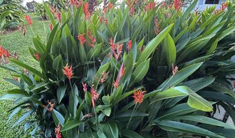 400 HUALANI St 5242, Hilo, HI 96720