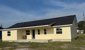 154 Grace Loop, Alma, GA 31510