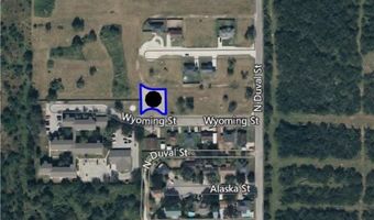 Wyoming Street, Alice, TX 78332