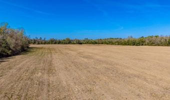 NW County Road 22, Alachua, FL 32615