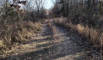 Farm Road 1245, Aurora, MO 65605