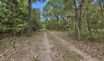 Tract 4 Coble Lane, Anderson, MO 64831