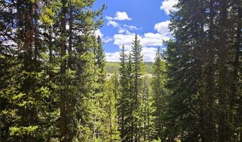 PCS # 10594 Looney Lane lot 0, Alma, CO 80420