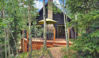 227 Roberts Rd, Alma, CO 80420