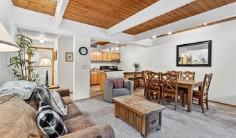 800 Columbine Rd C1, Breckenridge, CO 80424