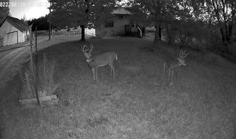 1128 County Road C, Arkdale, WI 54613