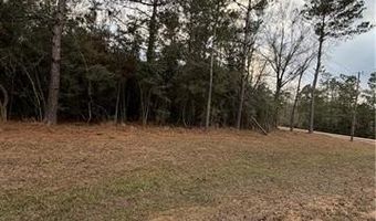 TBD 6.982 AC PROVIDENCE ESTATES Road lot 41A, Amite, LA 70422