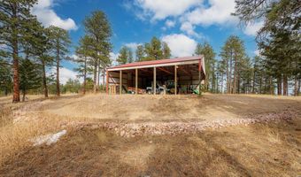 440 La Hermosa Dr, Bellvue, CO 80512