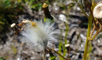 W McMann & Meadow Roads lot 13-1, Addison, ME 04606