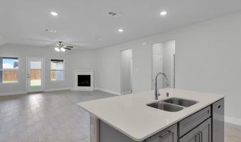 1209 Monestero Ln, Anna, TX 75409