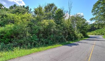 Crowe Springs Spur, Adairsville, GA 30103