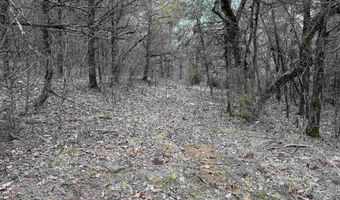 36 Highway 354, Ash Flat, AR 72513