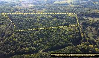 51 Shelton Rd, Bee Branch, AR 72013