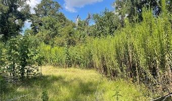 12539 YOUNG Ln, Amite, LA 70422