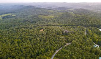 200 TABLEE LANE Lot 17.65, Ashland, AL 36251
