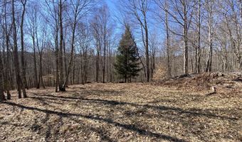 L22.2 Alder Pond Road, Andes, NY 13740