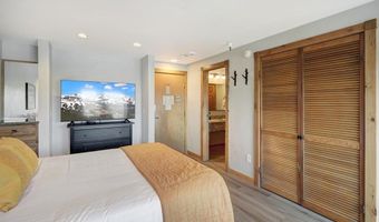 535 S Park Ave 317, Breckenridge, CO 80424
