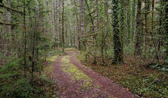 E Barlow Trail Rd, Brightwood, OR 97011