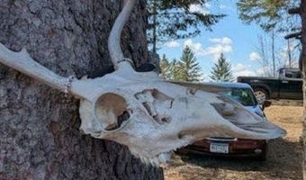 Fire # 10899 Hwy 22, Angora, MN 55703