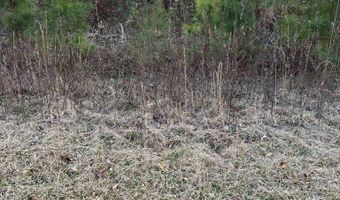 Lot 395 Singer Lane, Abbeville, AL 36310