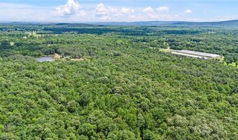 11905 E Old Bellville Rd, Belleville, AR 72824