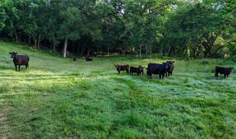 1148 County Road 1591, Alvord, TX 76225