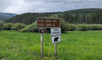 Tract 30 Steel Creek RD, Wisdom, MT 59761