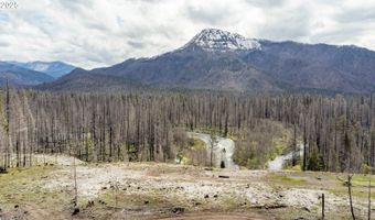 91747 BLUE RIVER RESERVOIR Rd, Blue River, OR 97413