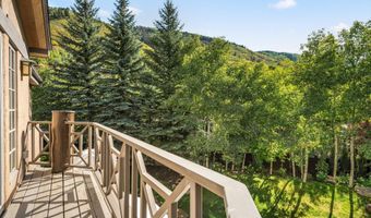42 Northway Dr, Aspen, CO 81611