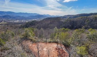 430 Live Oak Ter, Andrews, NC 28901