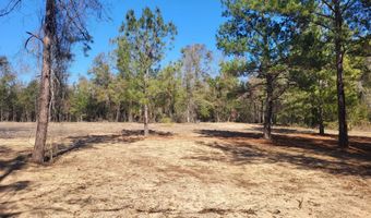 NW Tommy Tucker Road lot 1, Altha, FL 32421