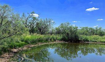 TBD WEST TRACT County Road 356, Anson, TX 79501