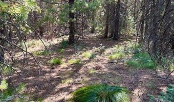 Tbd Sawtooth Loop, Cascade, ID 83611