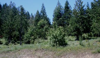 18 Majestic Mountain Rd, Clark Fork, ID 83811