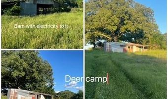 01 N Dozier Rd, Antlers, OK 74523