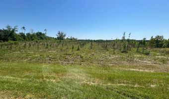 xxx County Hwy 73, Altha, FL 32421