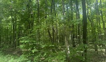 4439 Derry Rd, Alba, MI 49611