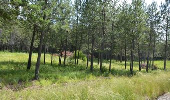 Nka N SYLVAN ROAD ROAD, Athol, ID 83801
