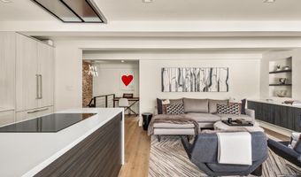 1039 E Cooper Ave 20, Aspen, CO 81611