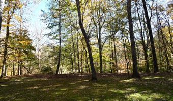 218 Thornhill Dr, Athens, GA 30607