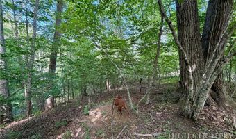 Grandfather Watch Lane, Banner Elk, NC 28604