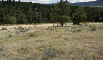 1217 Colonial Trl, Angel Fire, NM 87710