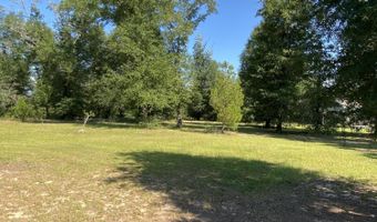 7960 NW County Road 274, Altha, FL 32421