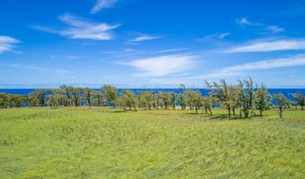 HOEA RD, Hawi, HI 96719