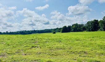 00 Willoughby Rd, Beech Bluff, TN 38313