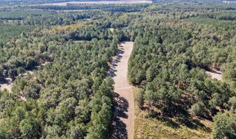 7901 Ashleigh Rd, Blackville, SC 29817